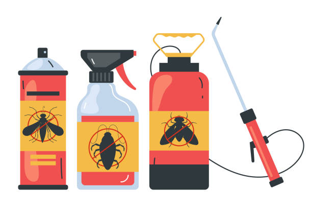 Trusted Hernando Beach, FL Pest Control Experts