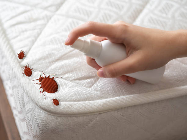 Best Pest Control Treatment  in Hernando Beach, FL