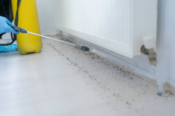 Best Spider Control Near Me  in Hernando Beach, FL